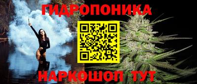индика Наро-Фоминск