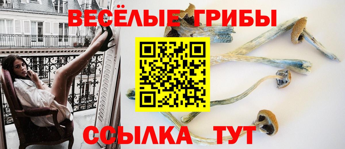 Галлюциногенные грибы мицелий Тавда